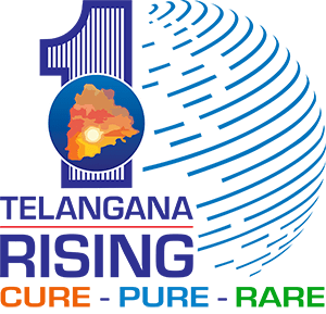 Telangana Rising